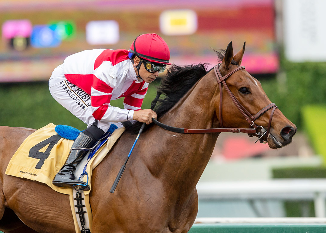 Royal Ship wins the 2022 John Shear Mile at Santa Anita Park