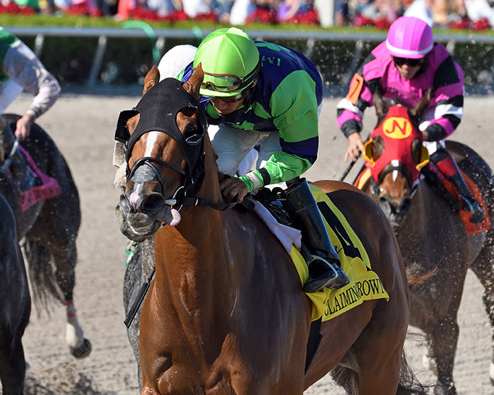 Royal Squeeze wins the 2019 Claiming Crown Rapid Transit Stakes at Gulfstream Park