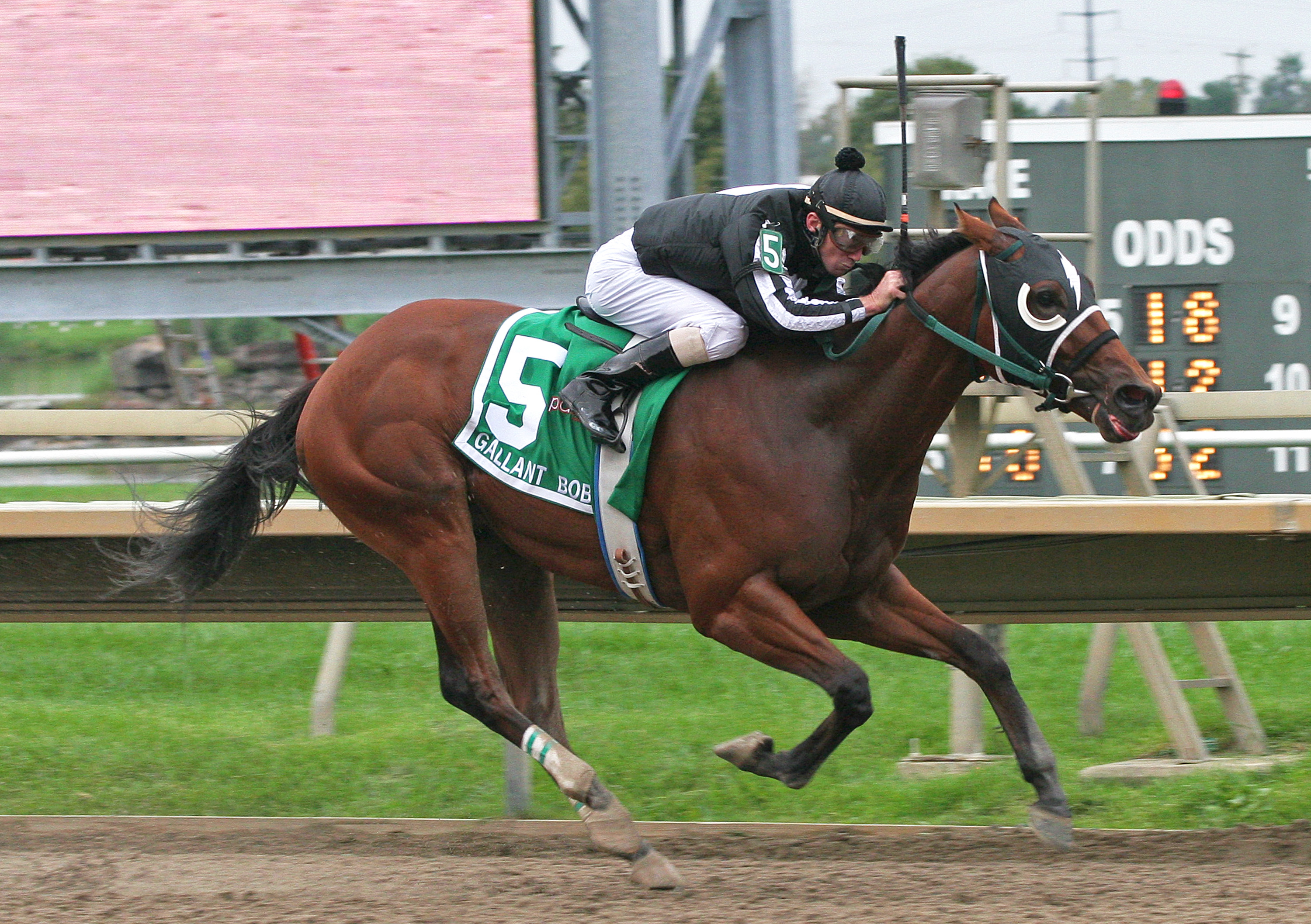 Royal Currier/Gallant Bob