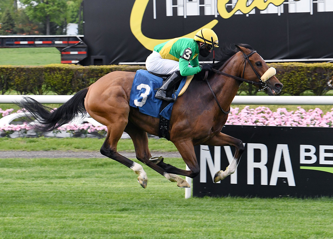 Royale wins a May 6 maiden race at Belmont Park