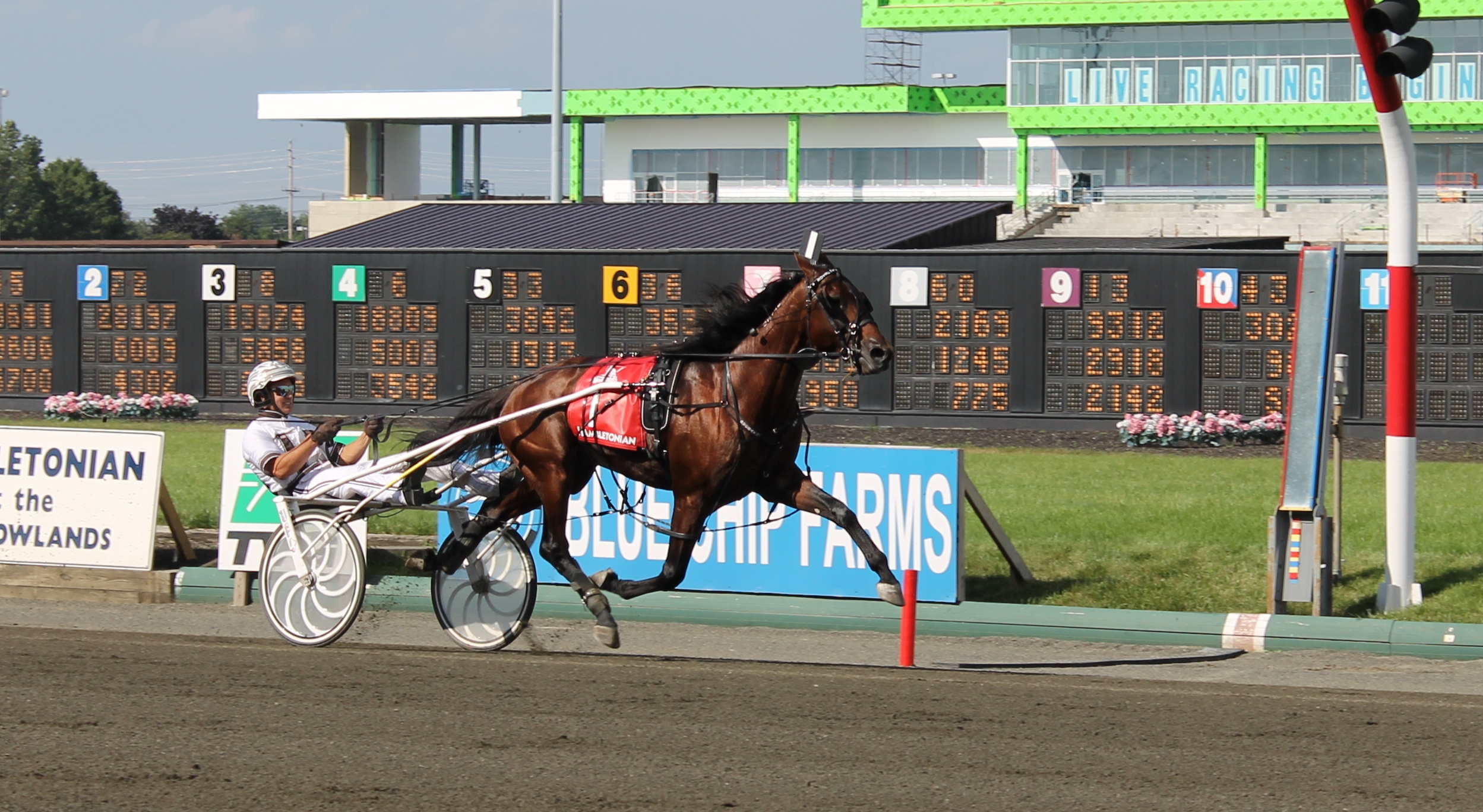 Royalty For Life/Hambletonian