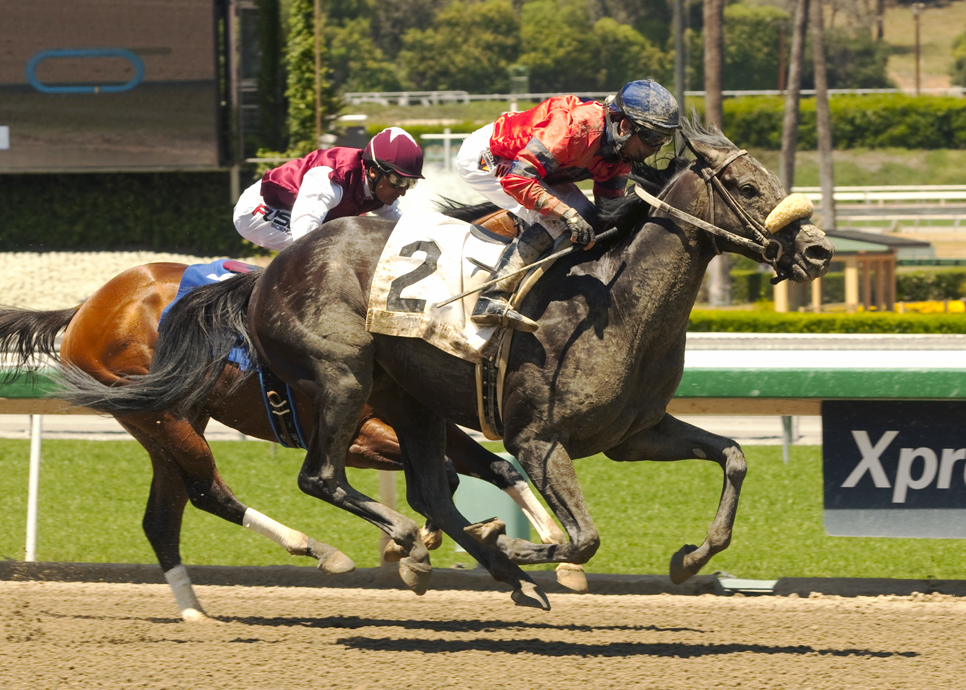 Rprettyboyfloyd wins a maiden race
