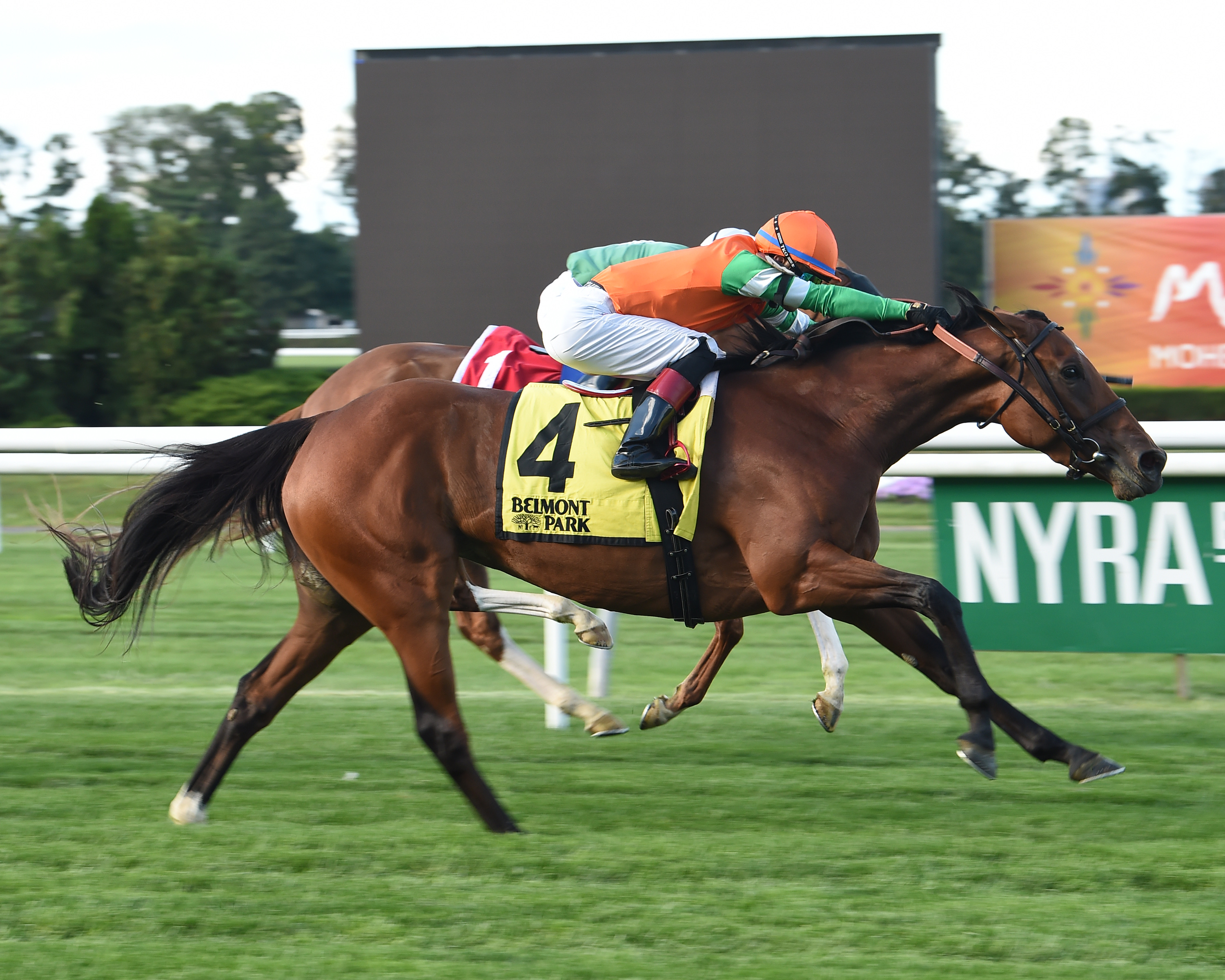 Rubilinda wins the 2017 Christiecat