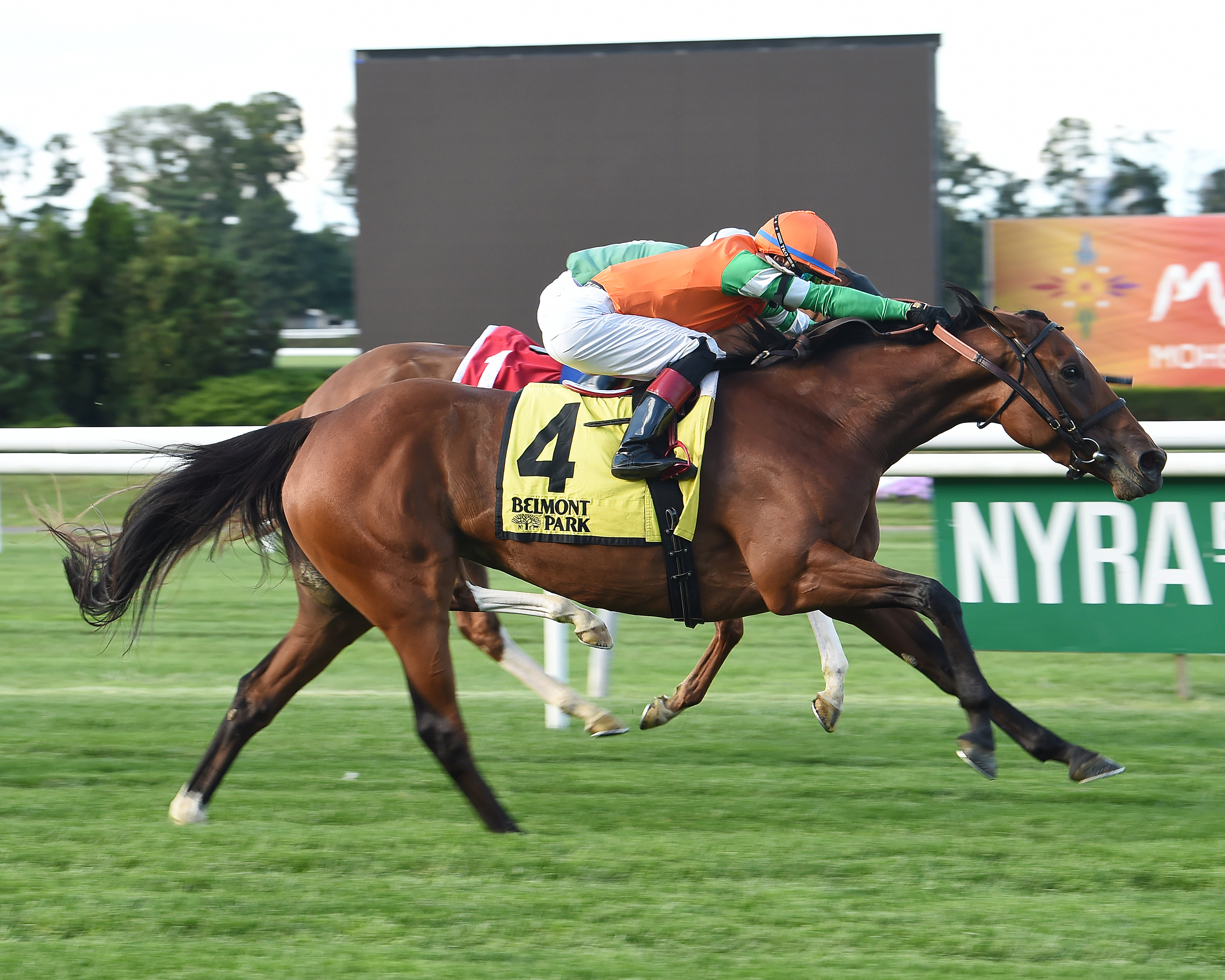 Rubilinda wins the 2017 Christiecat