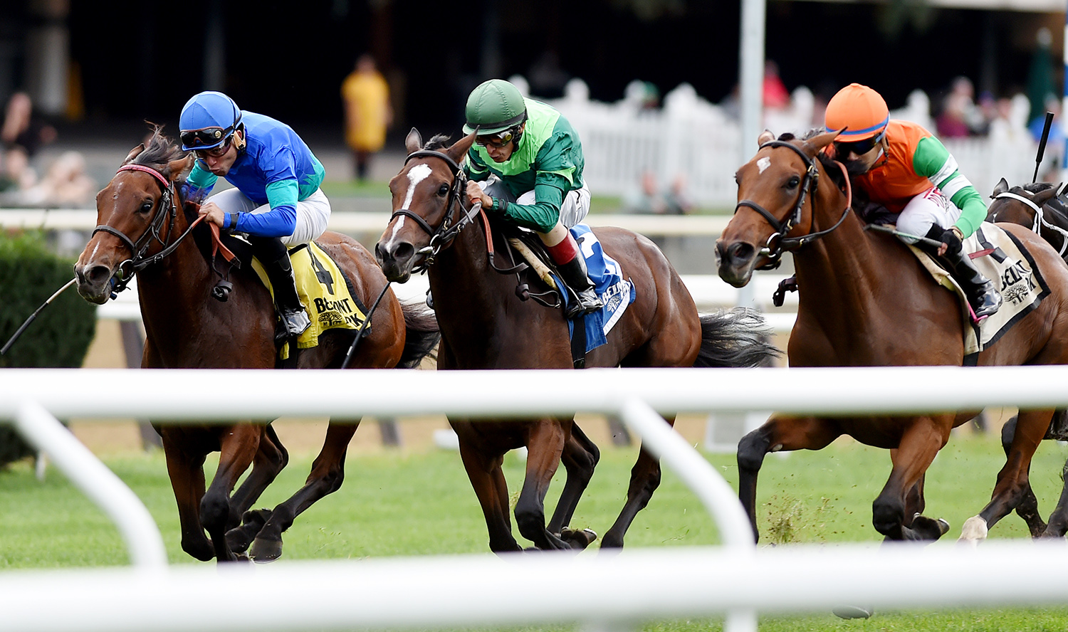 Thais finishes third in the 2017 Pebbles Stakes