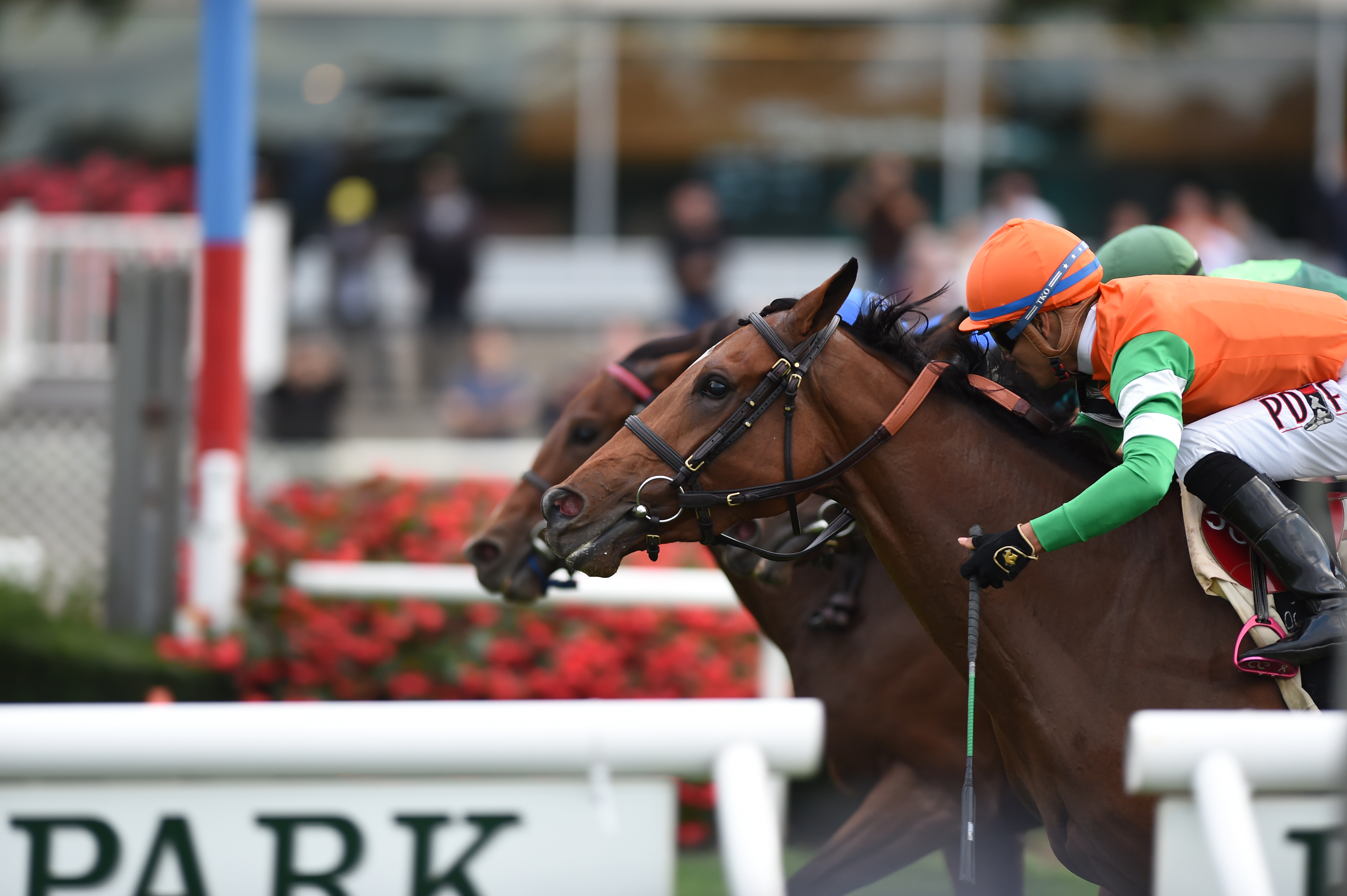 Rubilinda 2017 Pebbles Stakes