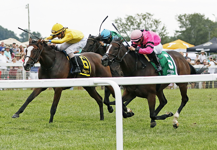 Ruby Notion wins the Kentucky Downs Ladies Sprint