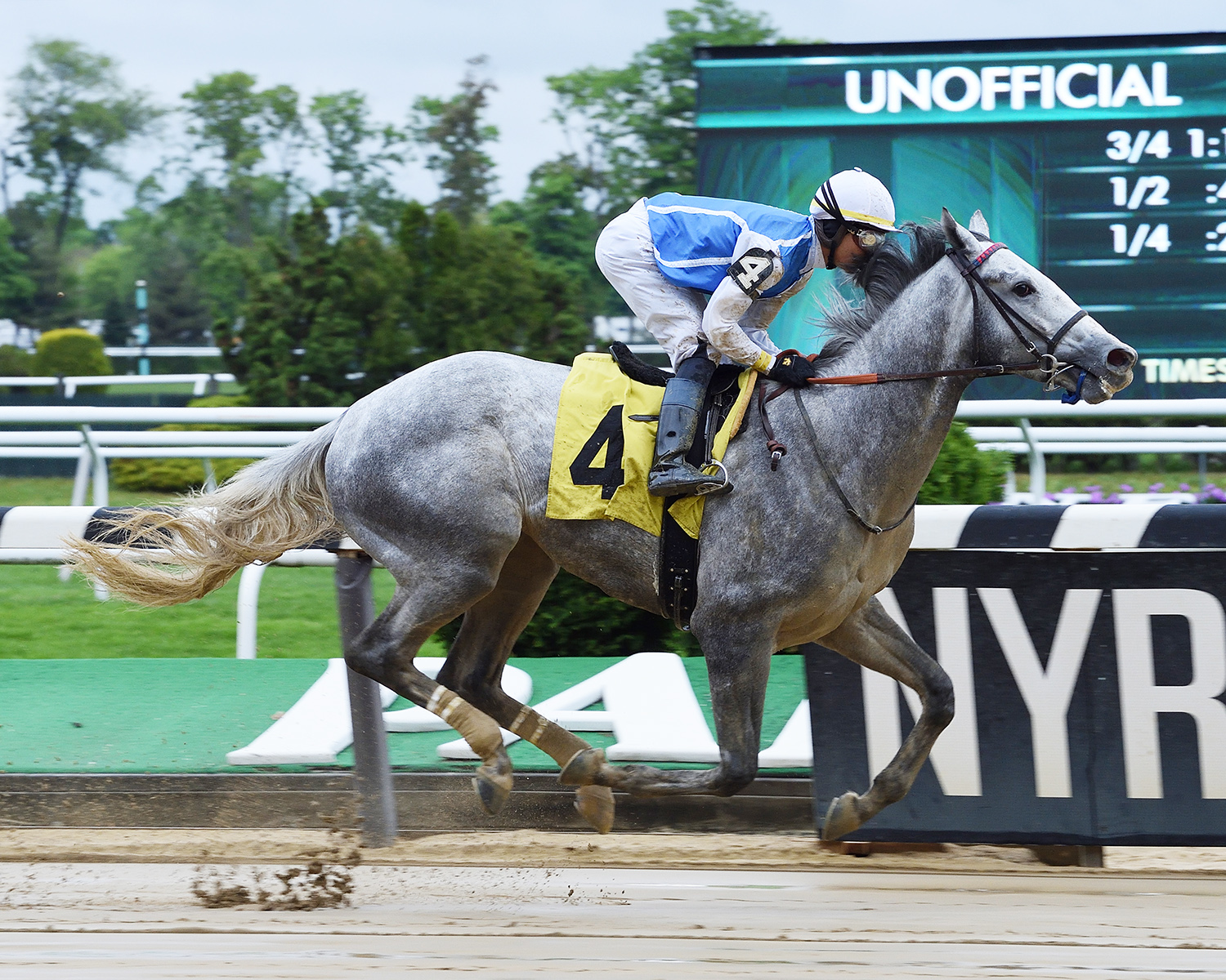 Rugbyman wins a May 13 maiden race