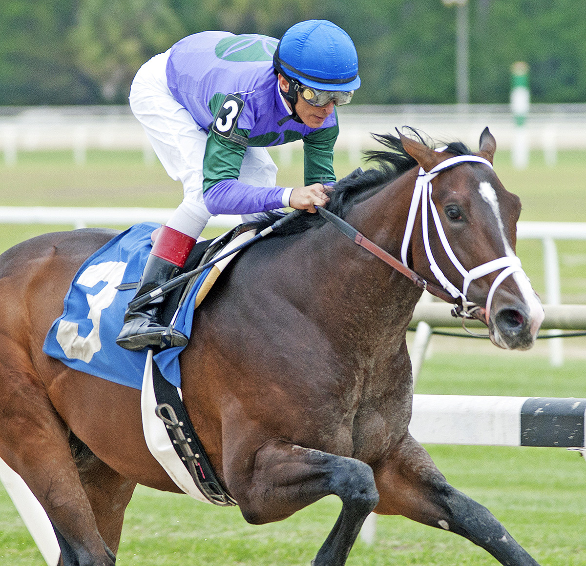 Ruler of the Nile wins a March 10 maiden race
