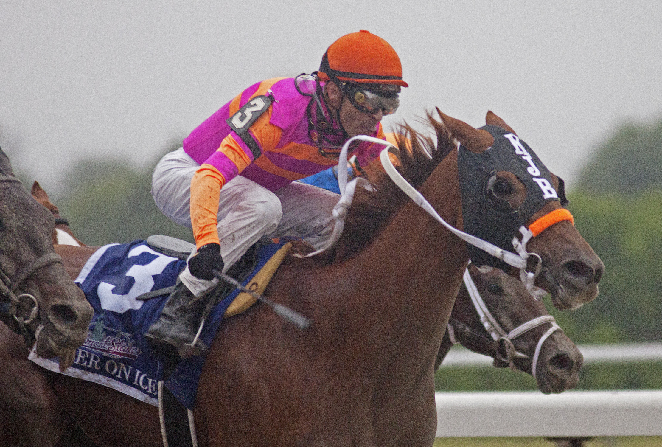 Belmont Stakes: Ruler On Ice surprises at 24-1; Shackleford fifth, Animal Kingdom sixth
