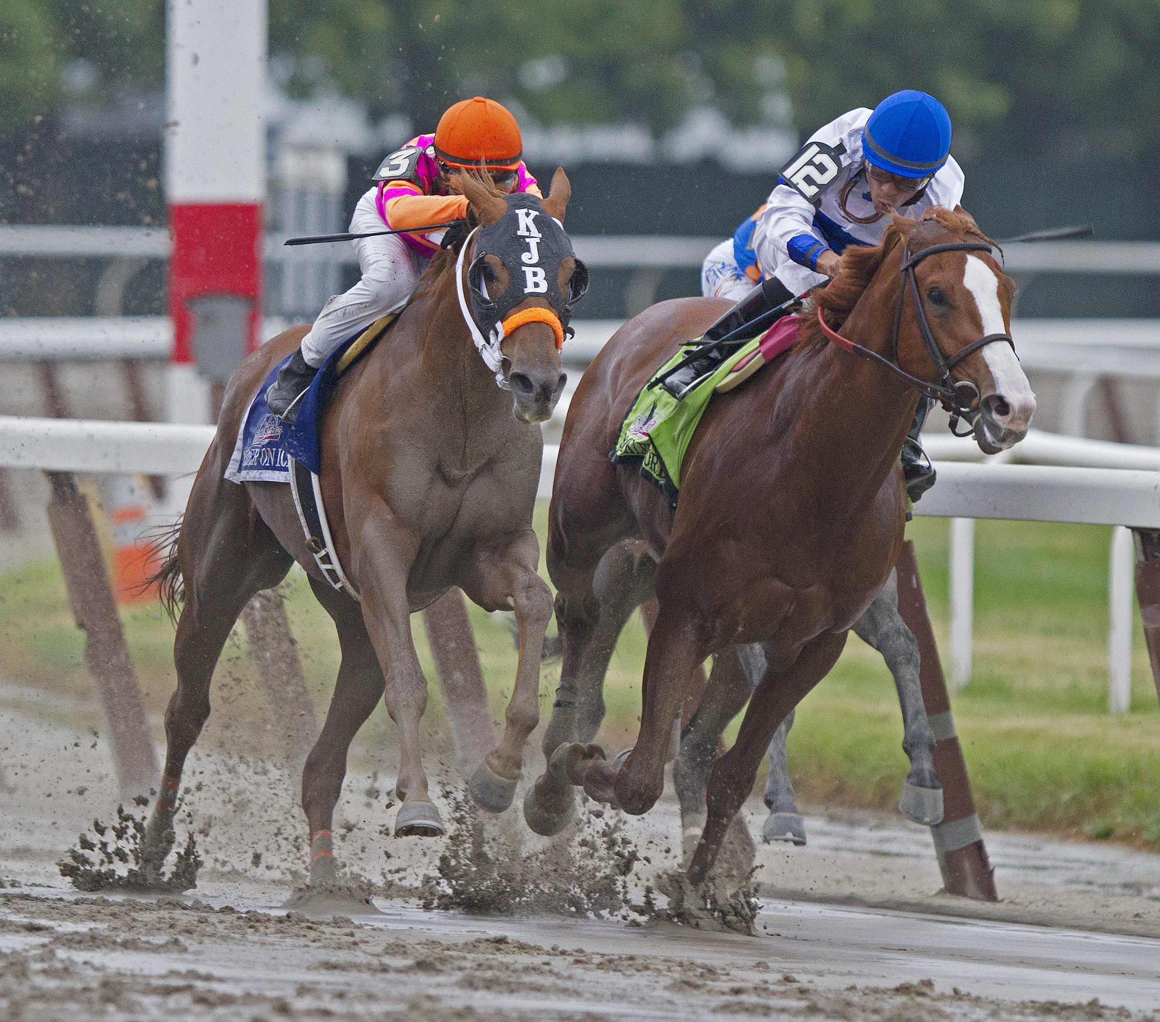 Ruler On Ice and Shackleford