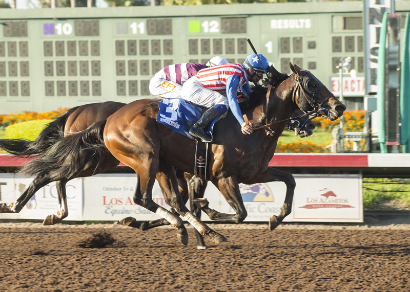 Run Away wins the 2017 Barretts Juvenile
