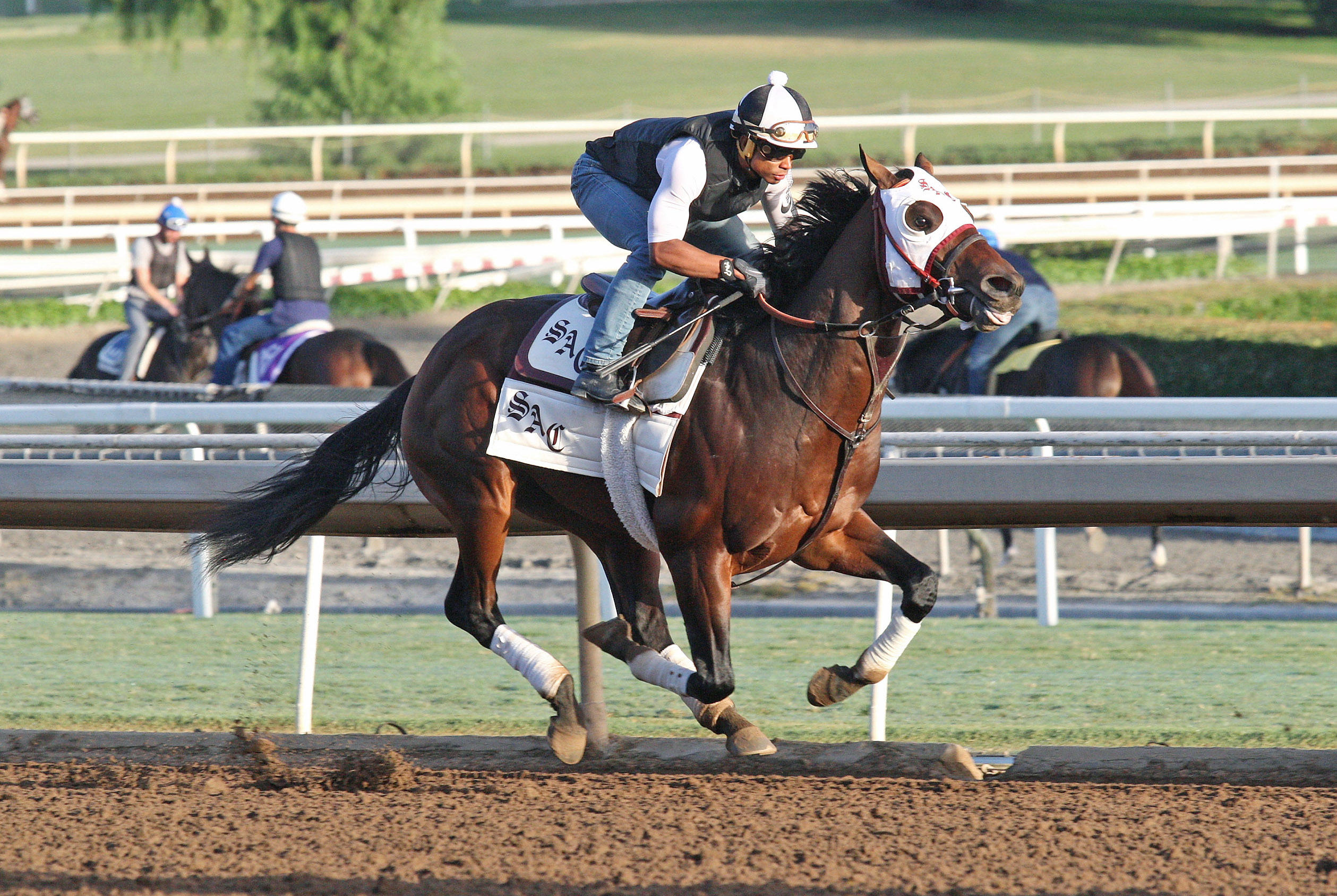 Run Away trains at Santa Anita Park on Oct. 21
