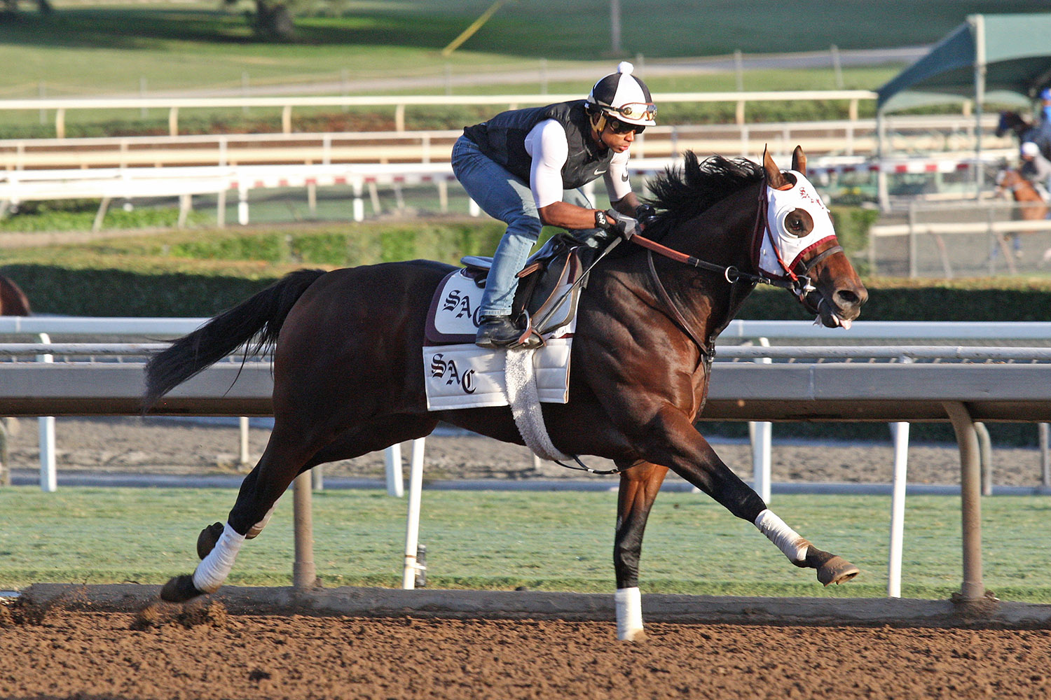 Run Away trains at Santa Anita in October 2017