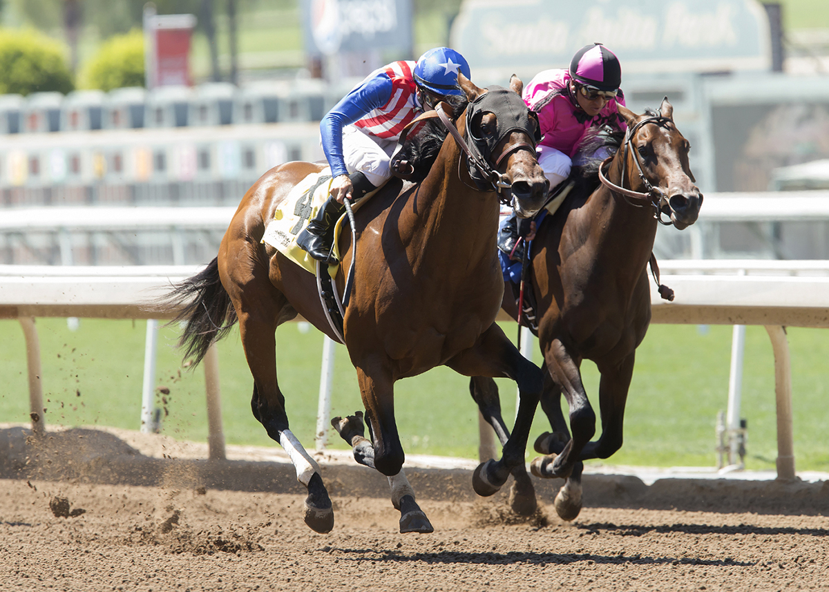 Argosy Fleet finishes second in the 2017 Santa Anita Juvenile