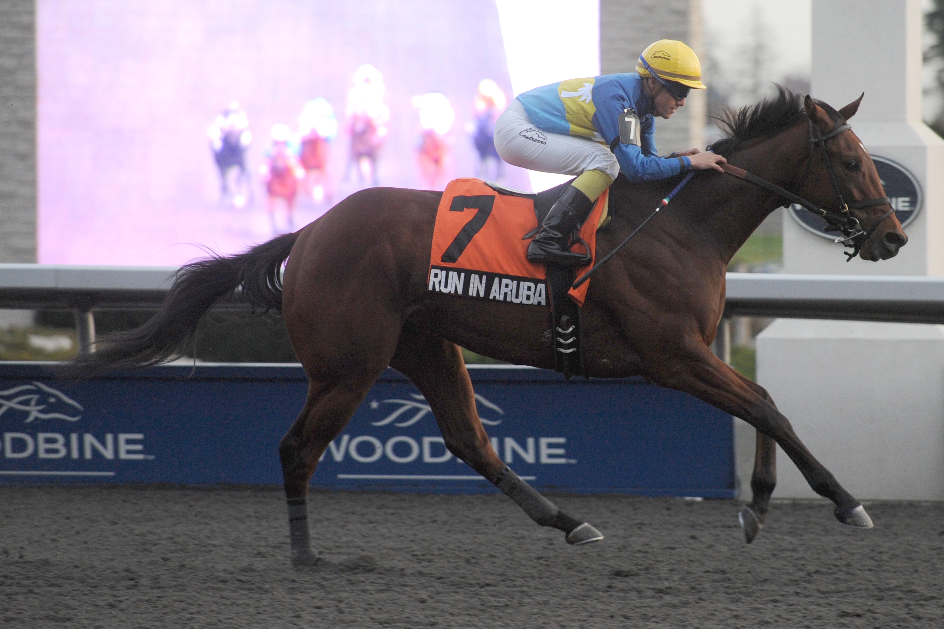 Run in Aruba, Kingarvie Stakes