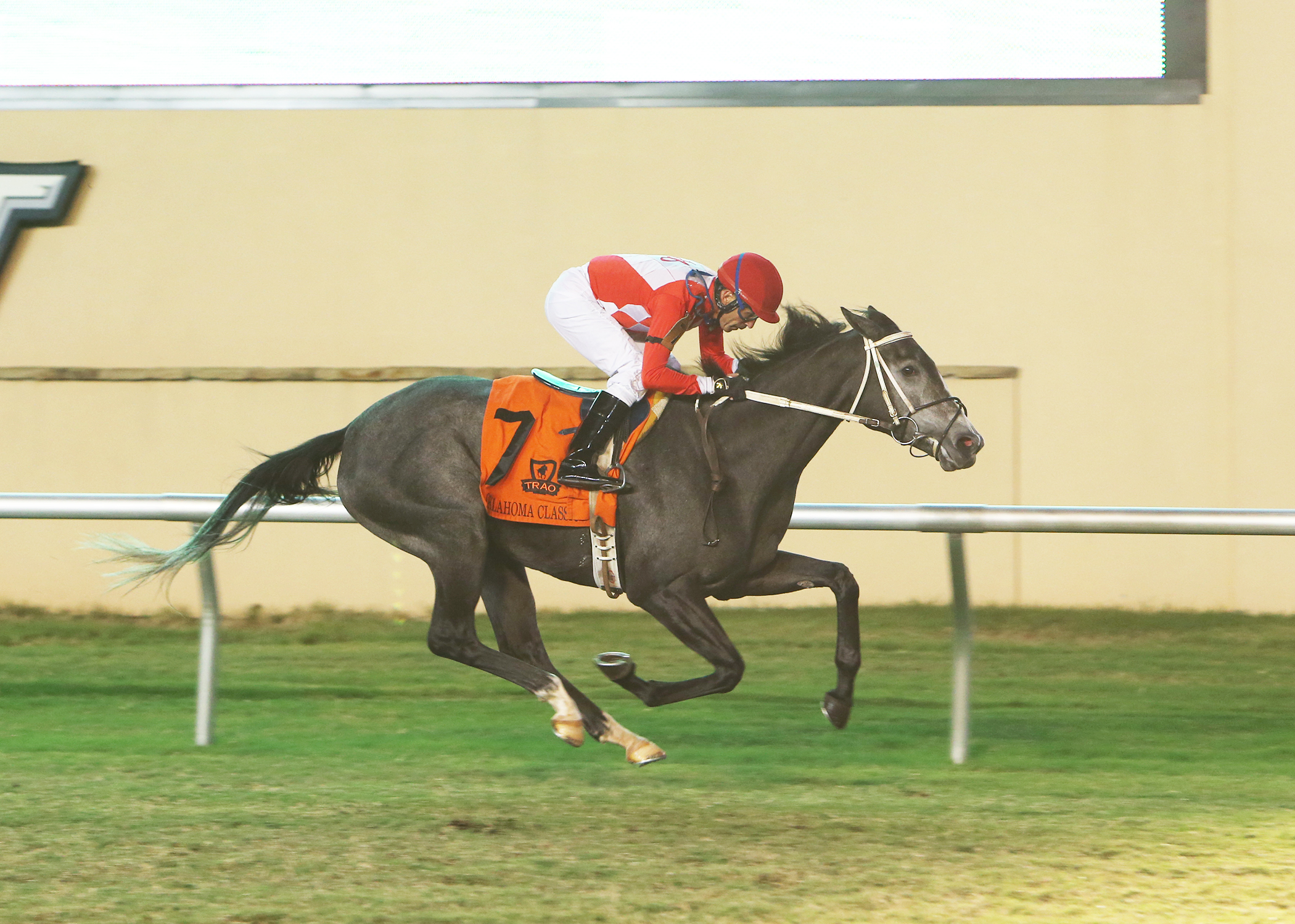 Run Slewpy Run - OKC Distaff Turf 2021