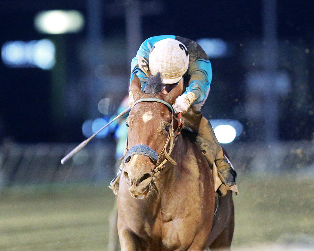 Run to Daylight wins the 2021 Vincent Moscarelli Memorial Stakes at Charles Town