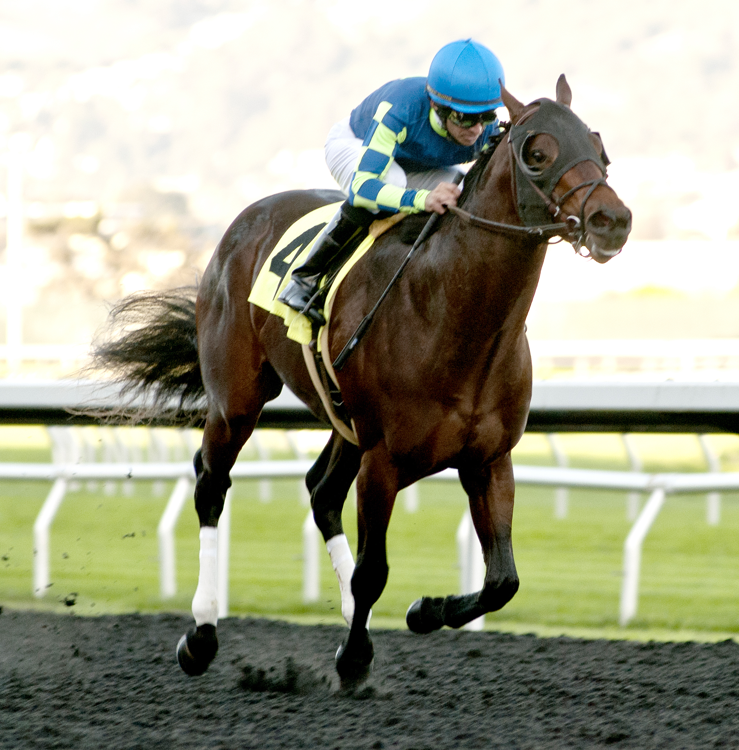 Runaway Ghost wins the Golden Nugget Stakes