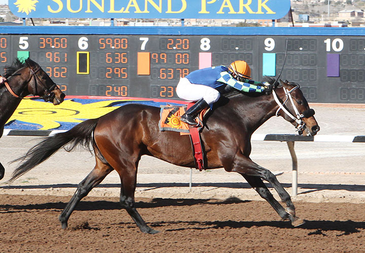 Runaway Ghost wins the 2019 Curribot