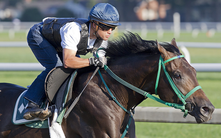 Runaway Lute trains at Saratoga on Aug. 19
