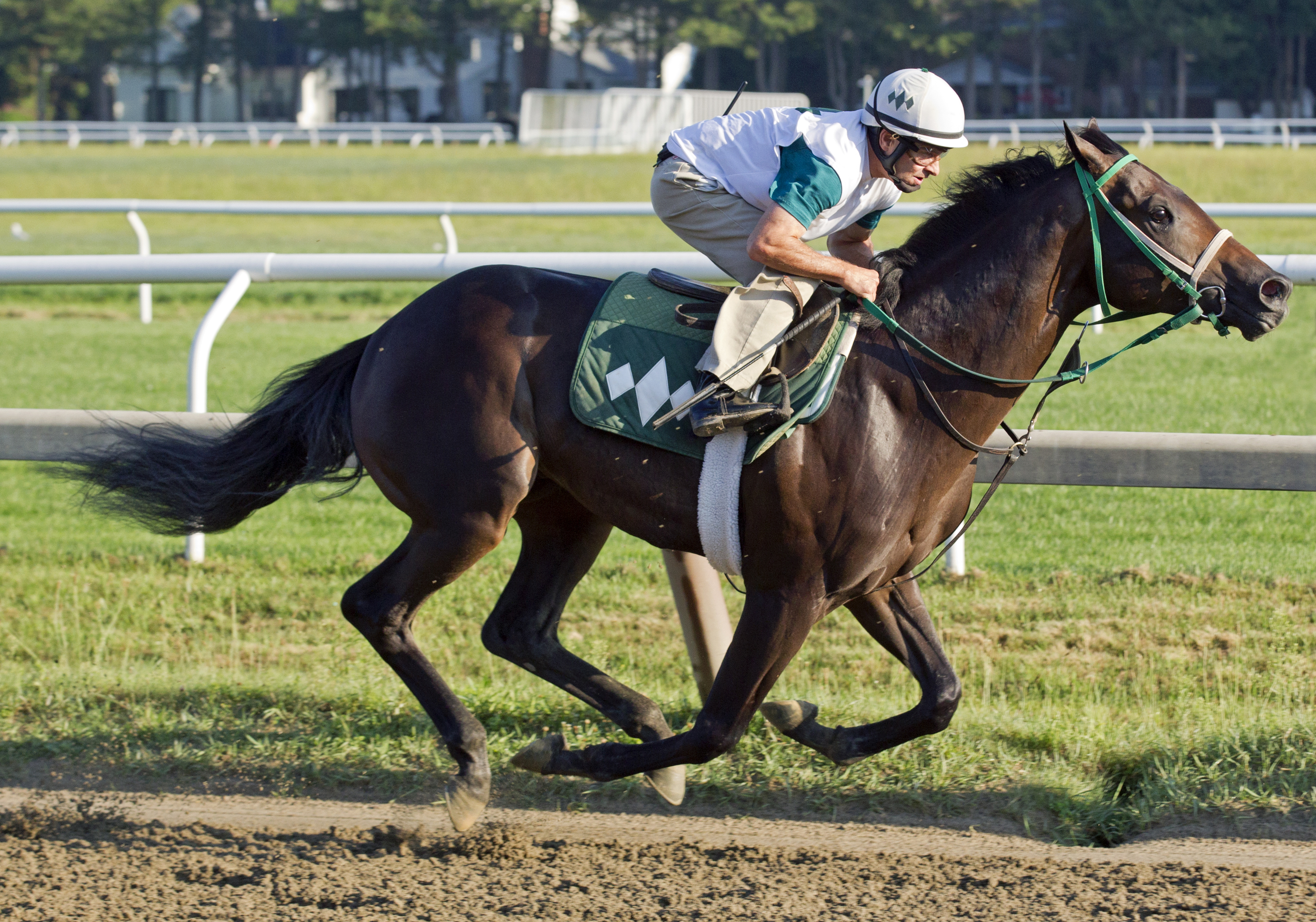 Runaway Lute trains at Saratoga on Aug. 5