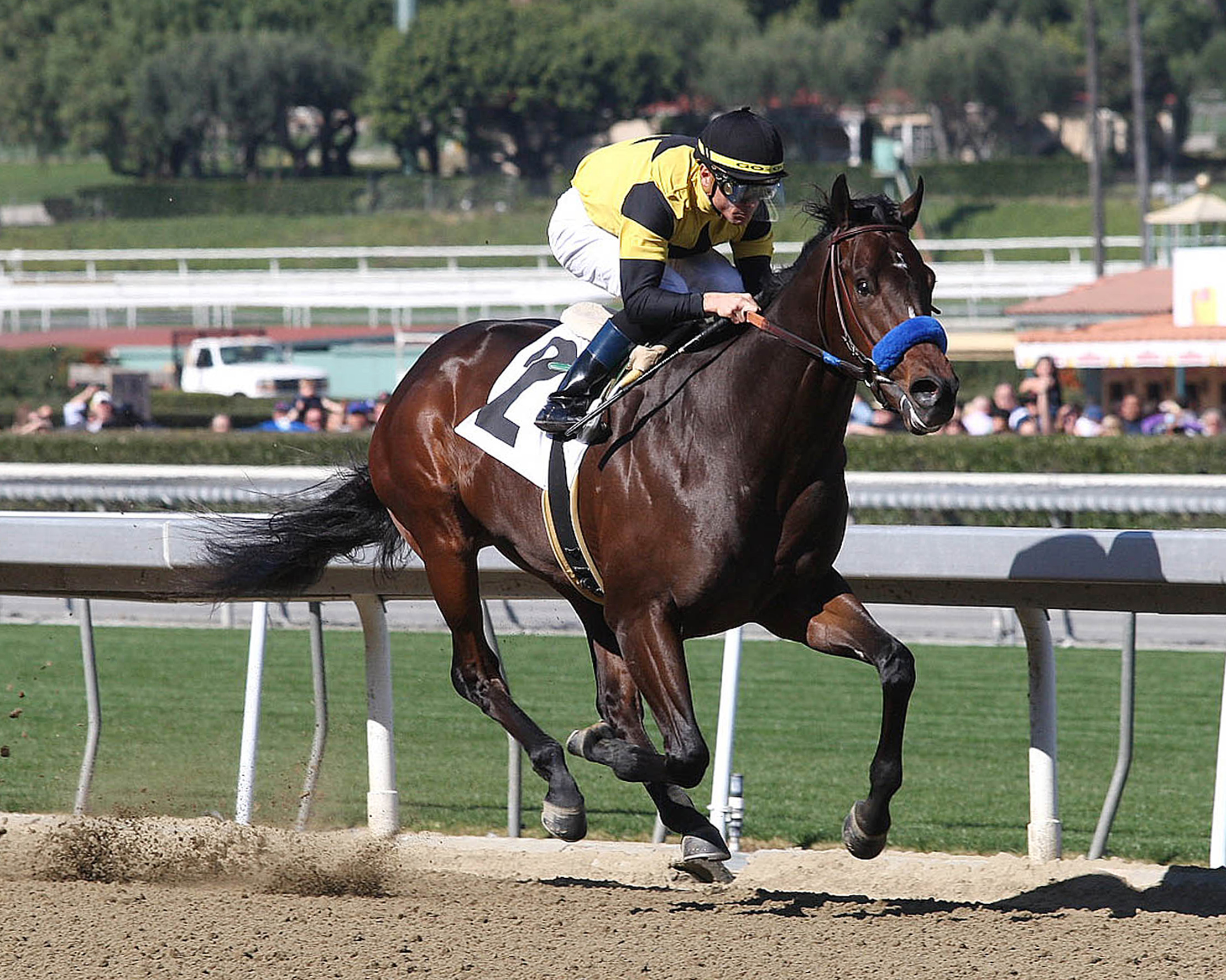 Runflatout/maiden win