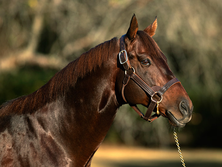 Runhappy portrait