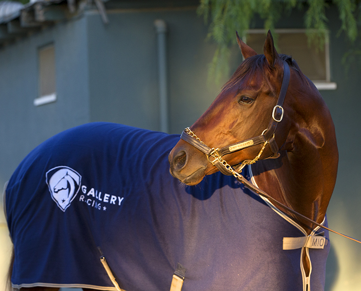 Runhappy portrait