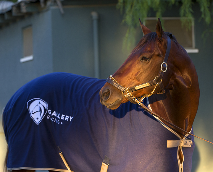 Runhappy portrait