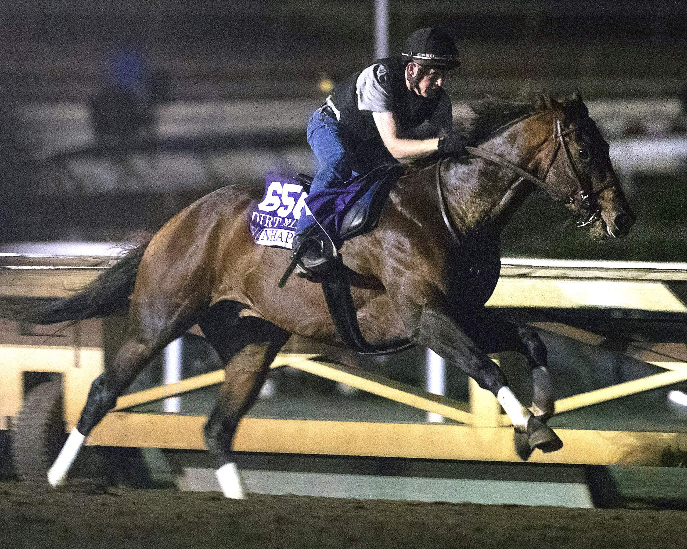 Runhappy trains at Santa Anita on Oct. 29