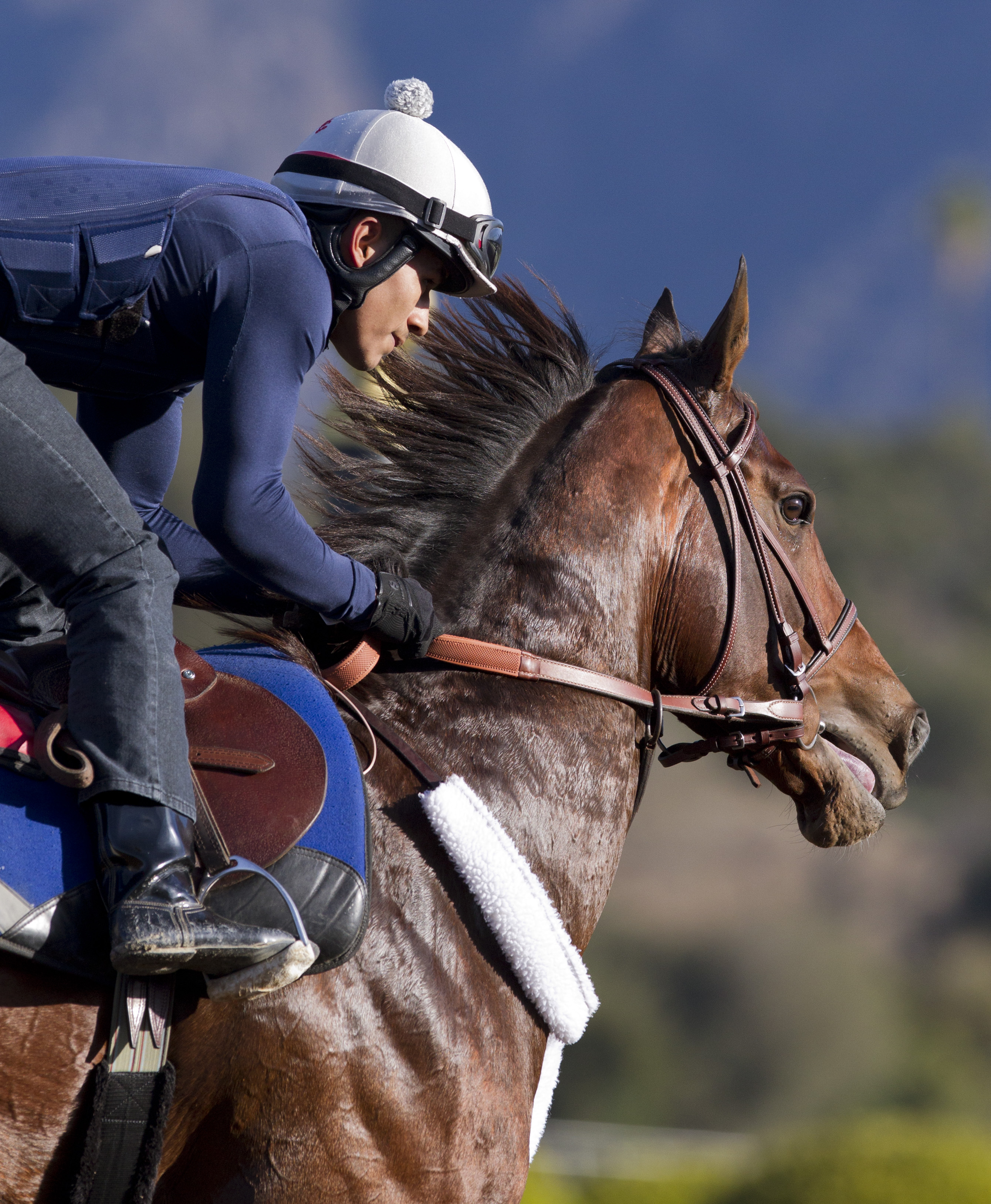 Runhappy trains at Santa Anita in December
