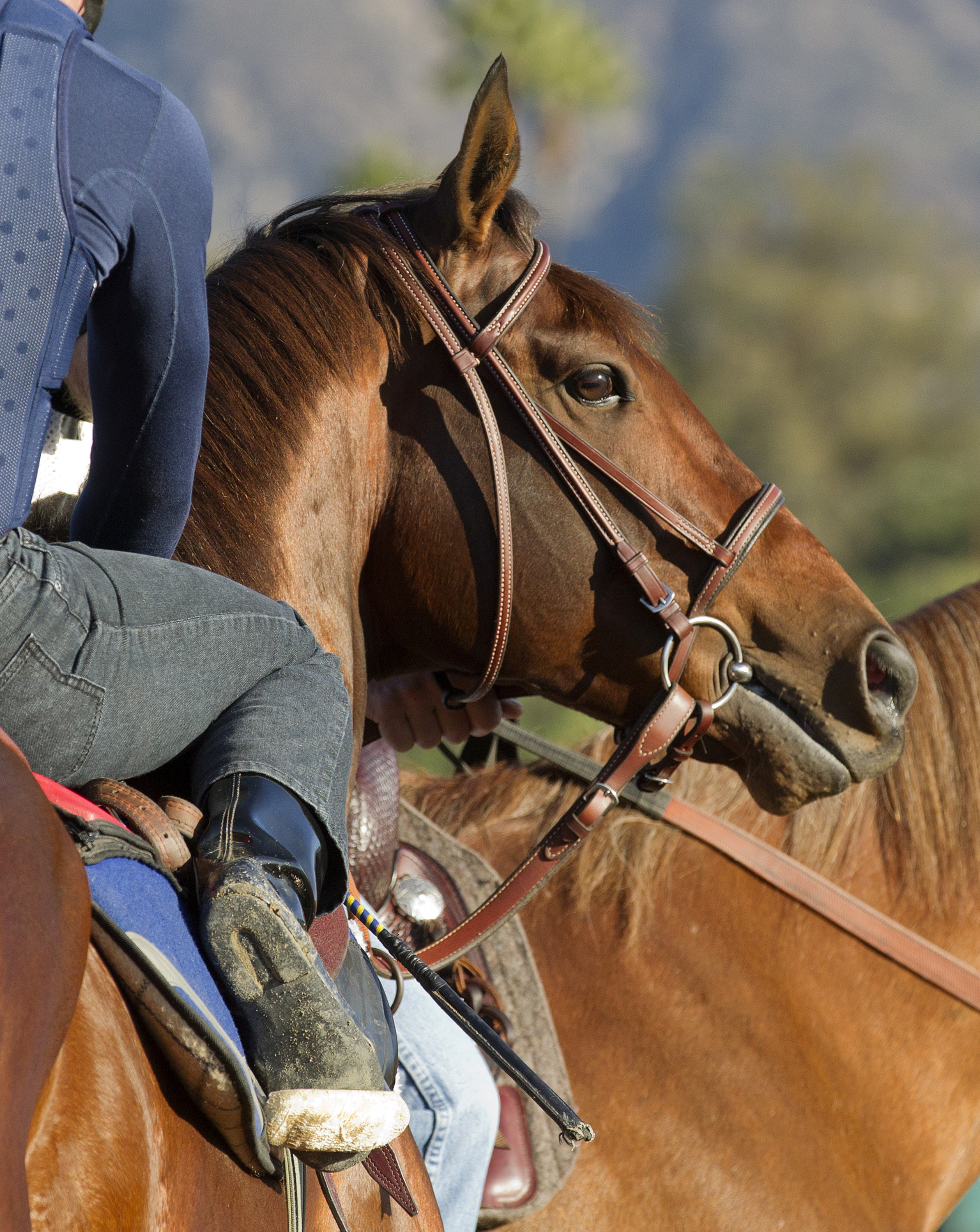 Runhappy