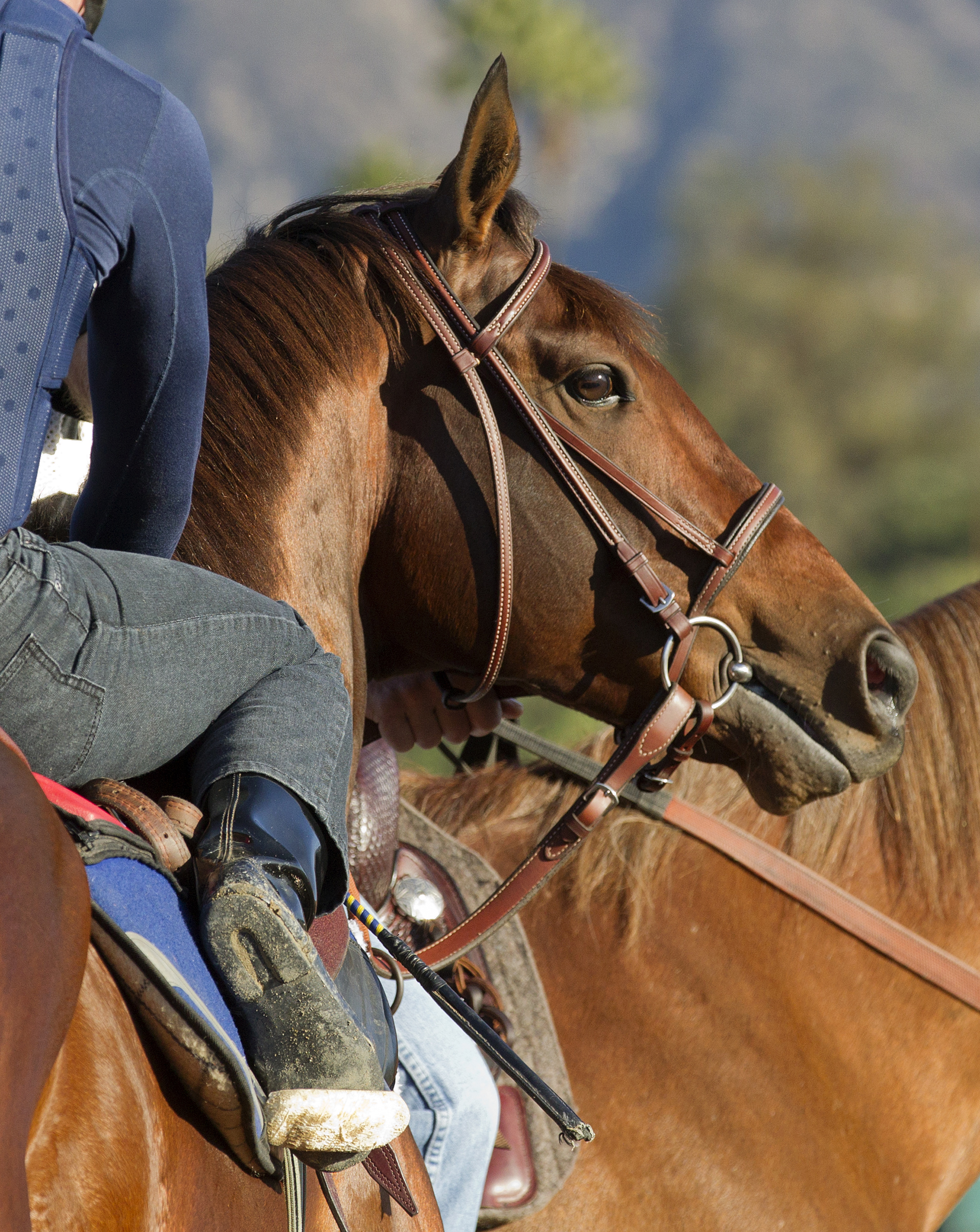 Runhappy
