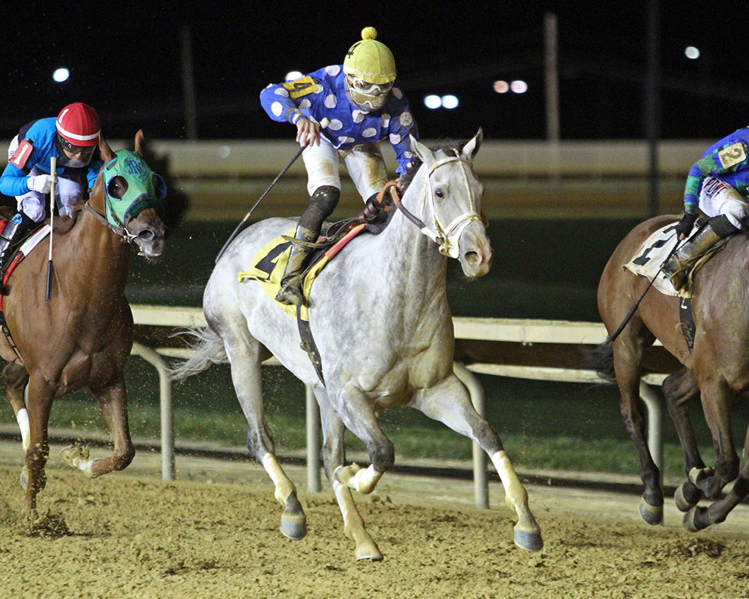 Runnin'toluvya wins the 2020 Frank Gall Memorial Stakes at Charles Town