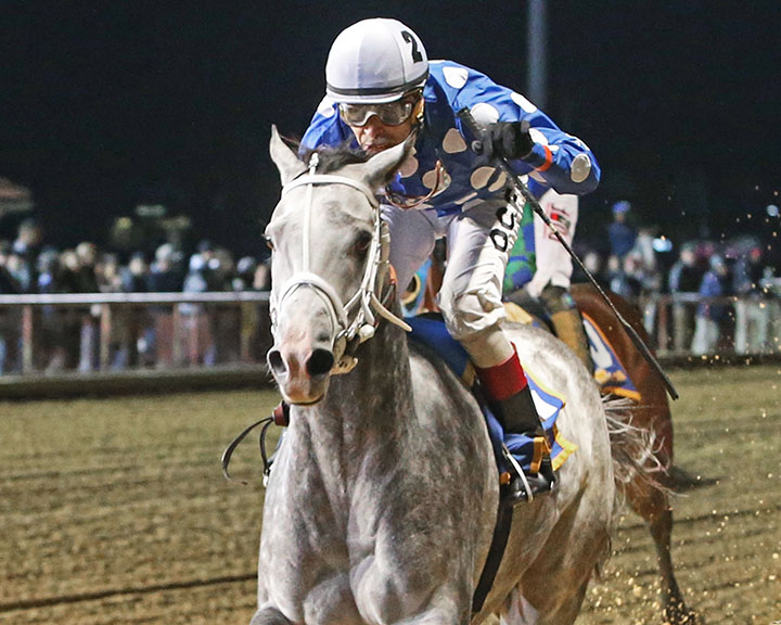 Runnin'toluvya wins the West Virginia Breeders Classic