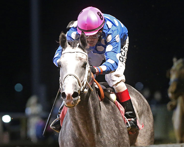 Runnin'toluvya wins the Frank Gall Memorial