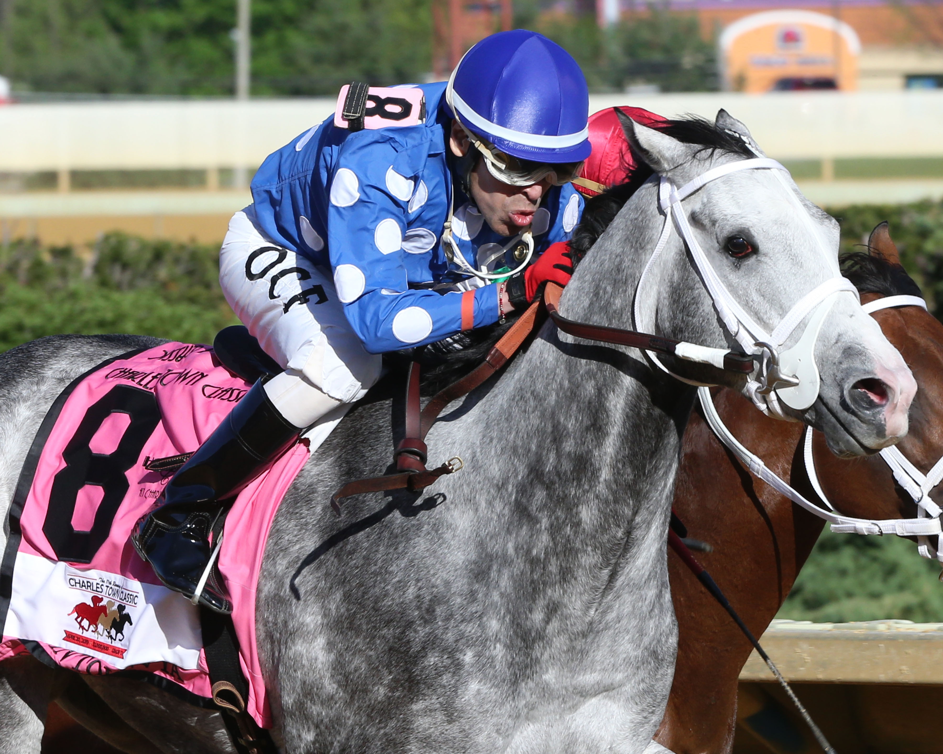 Runnin'toluvya wins the 2019 CT Classic