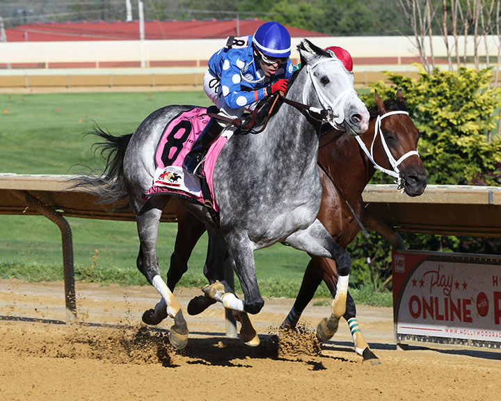 Runnin'toluvya wins the 2019 Charles Town Classic at Charles Town