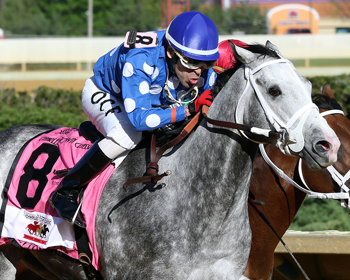 Runnin'toluvya wins the 2019 Charles Town Classic at Charles Town
