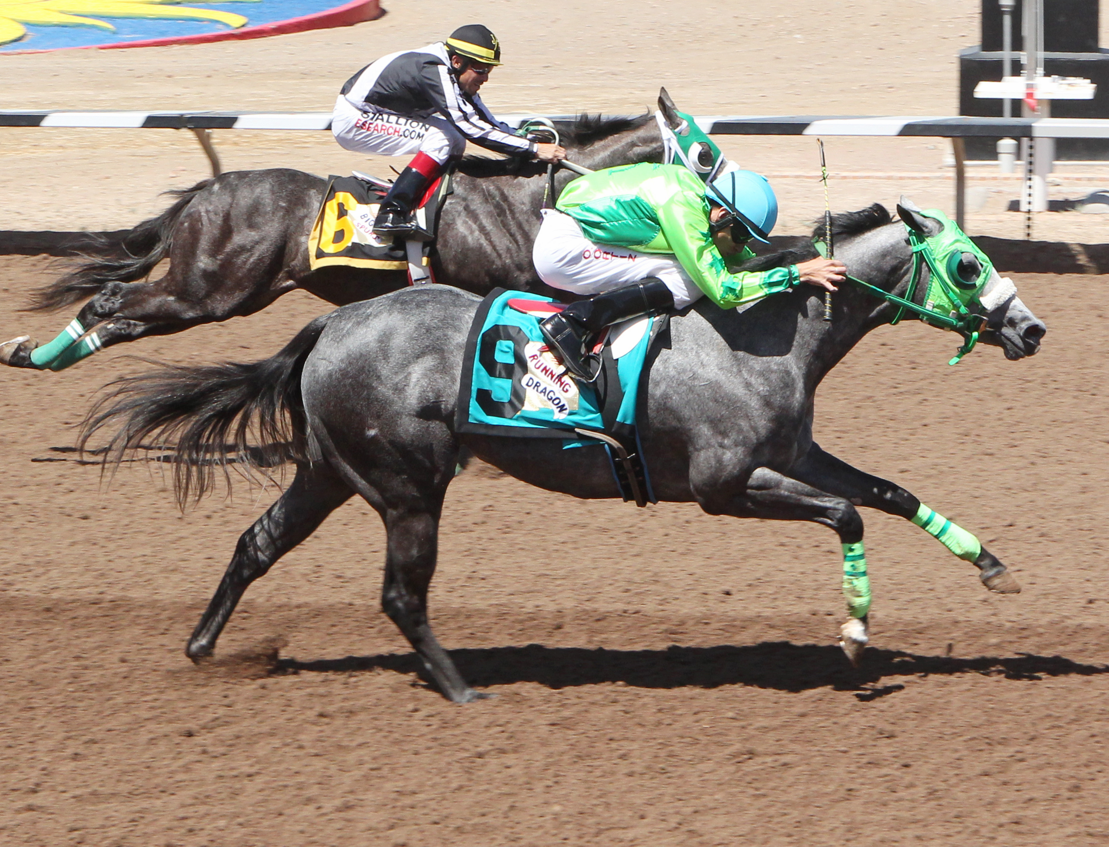 Running Dragon wins the New Mexican Spring Futurity