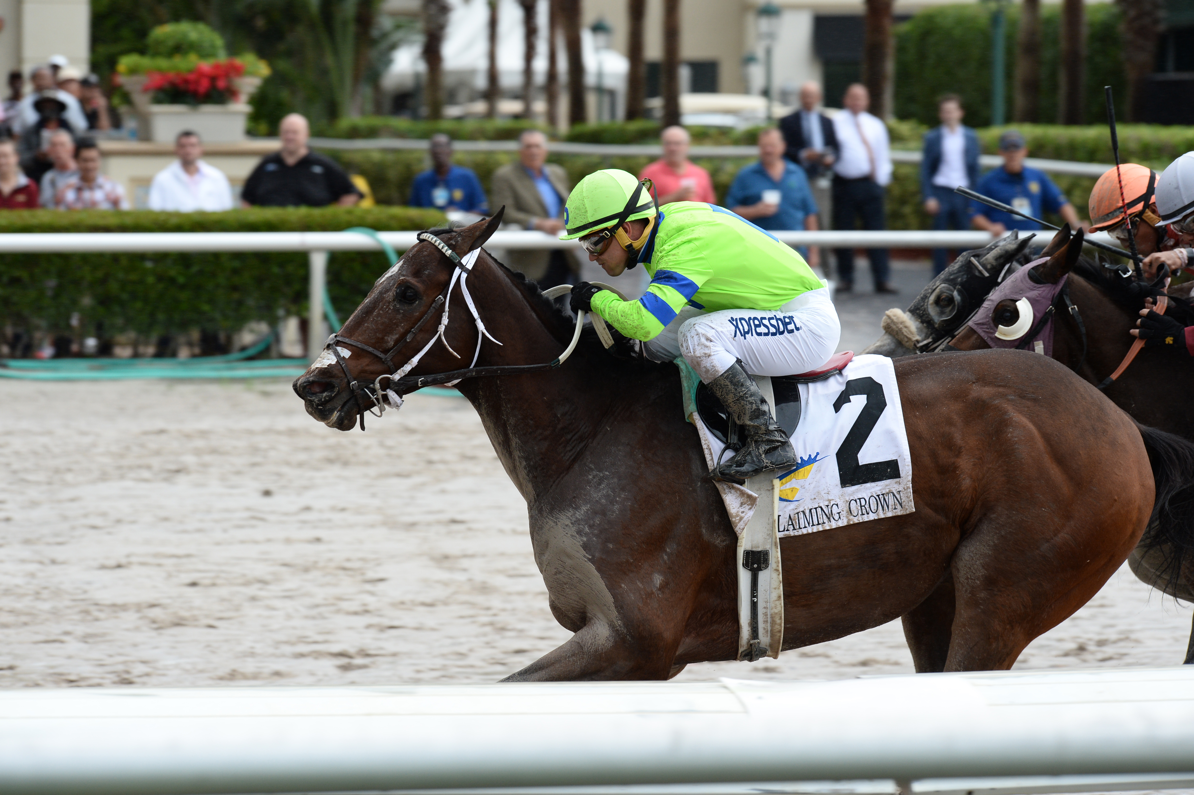 Runs With Bulls wins 2015 Claiming Crown Iron Horse