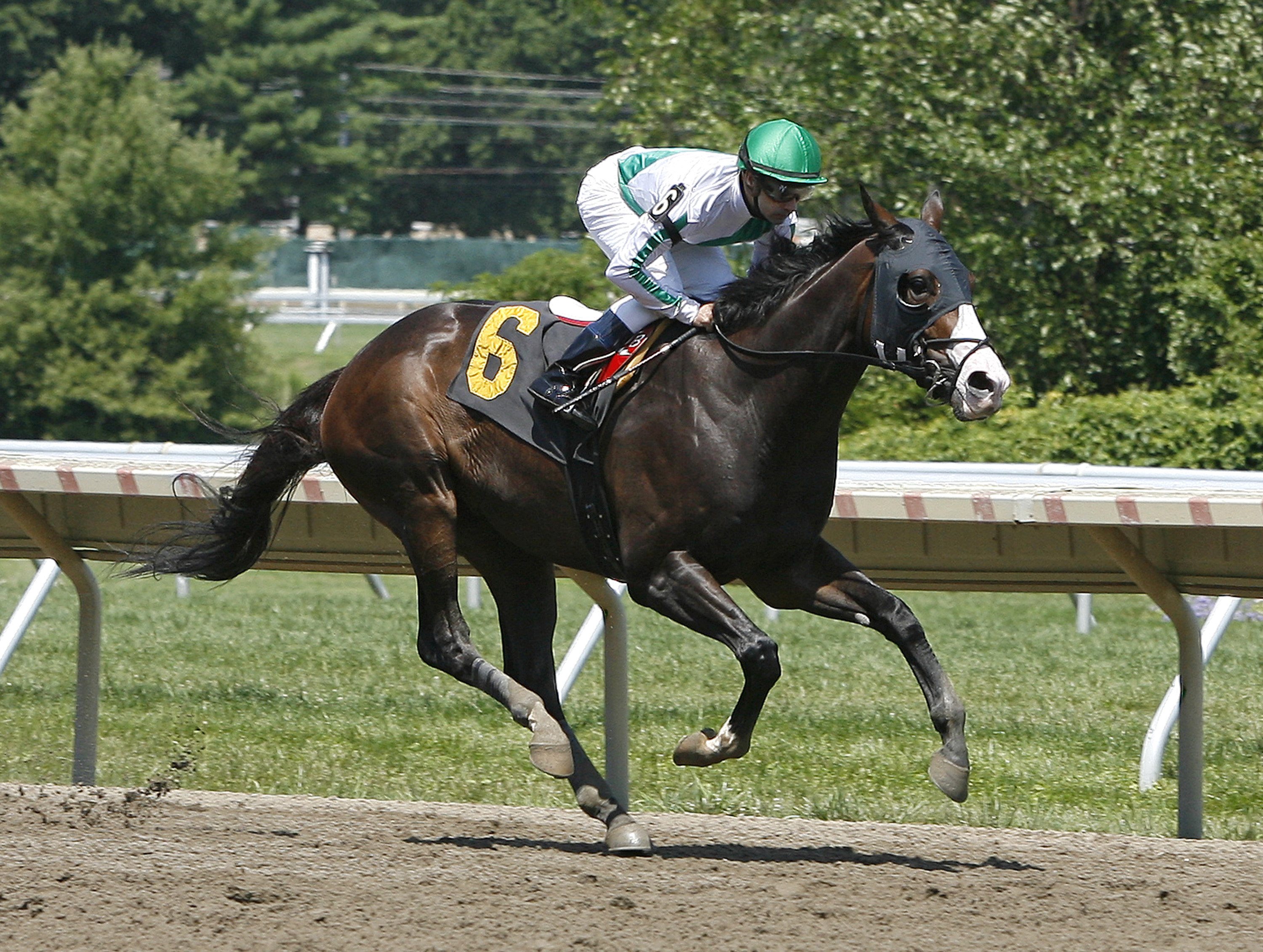 Rush Now wins at Monmouth in 2012