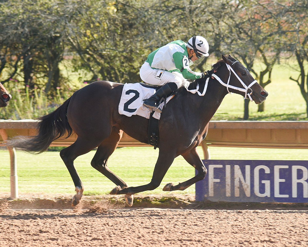 Rush On By wins the 2019 Shesastonecoldfox Stakes