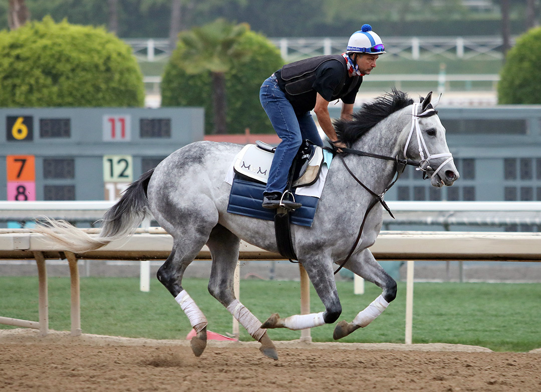 Rushie trains at Santa Anita Park in May 2021