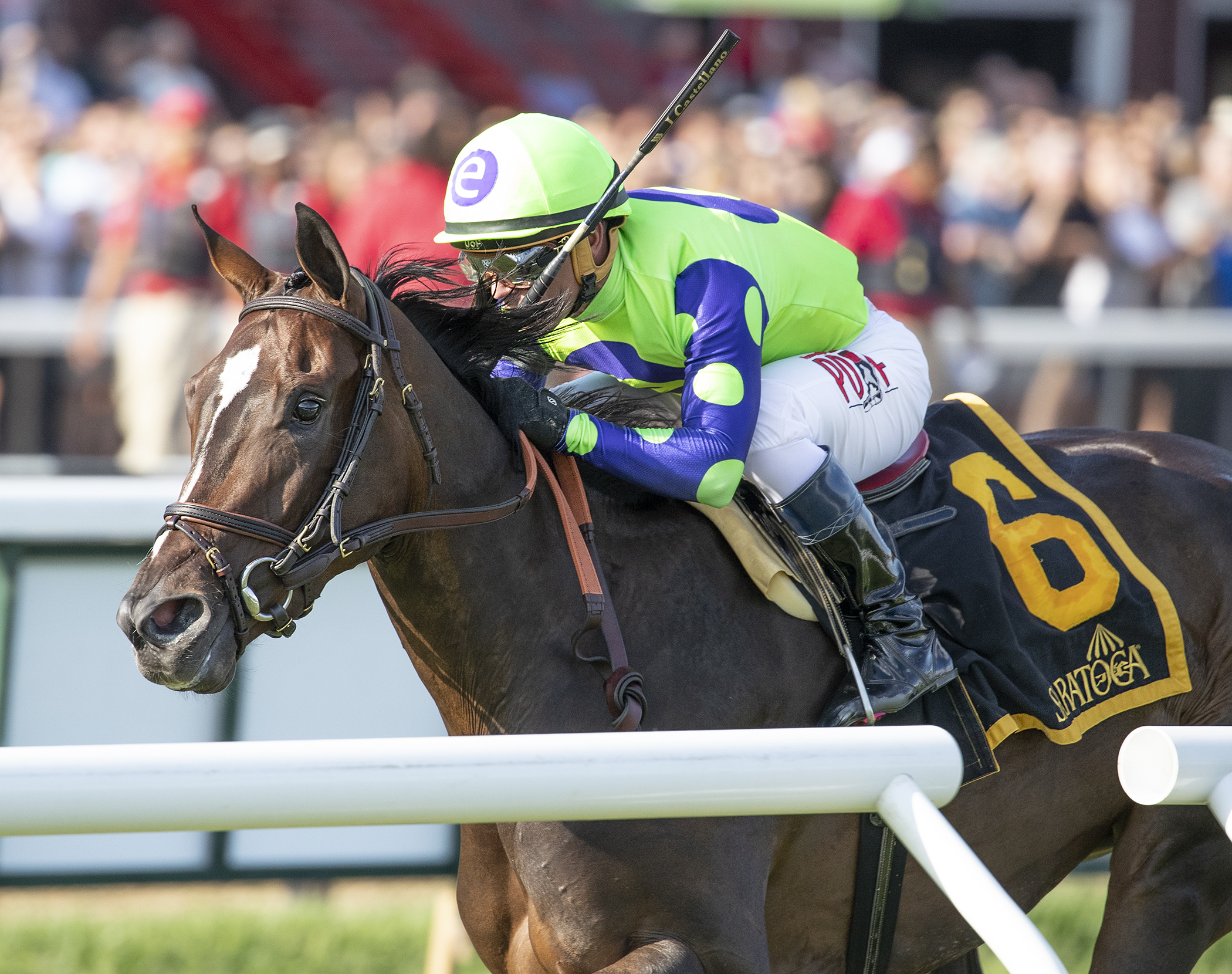 Rushing Fall wins the 2018 Lake Placid Stakes