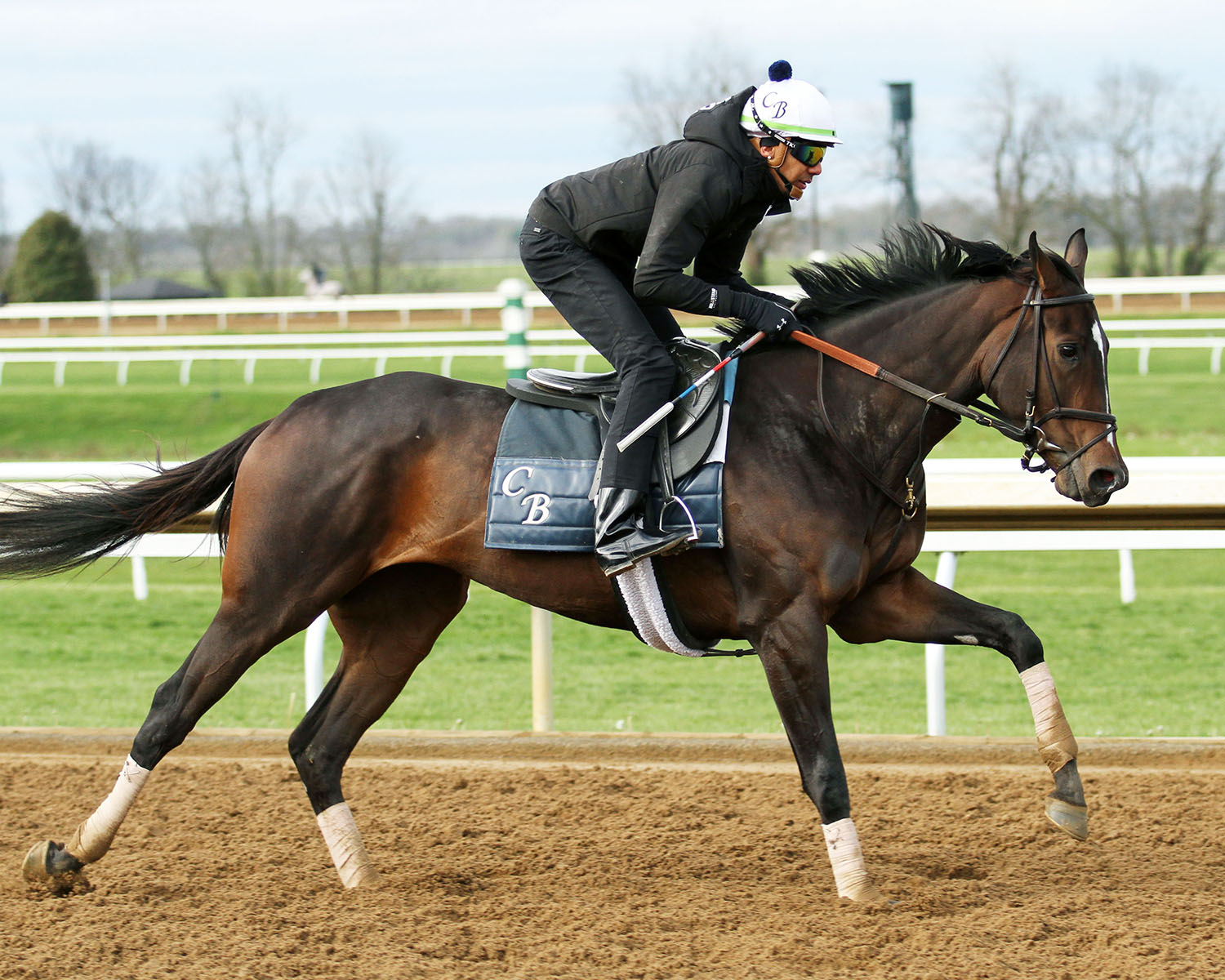 Rushing Fall trains at Keeneland on April 19