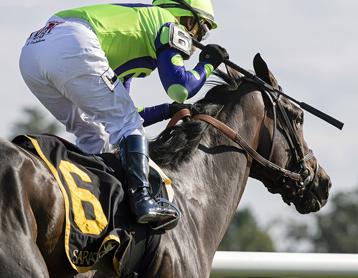 Rushing Fall wins the 2018 Lake Placid Stakes