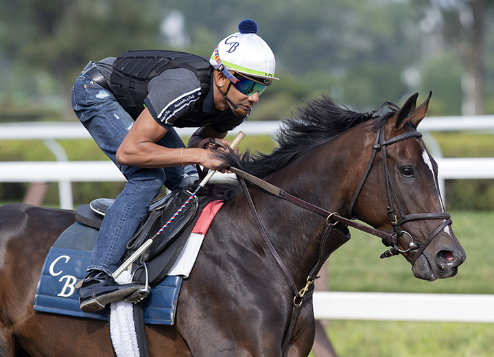 Rushing Fall trains at Saratoga on July 11