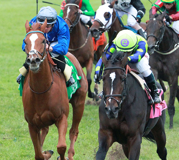 Mission Impassible finishes second in the Queen Elizabeth II Challenge Cup